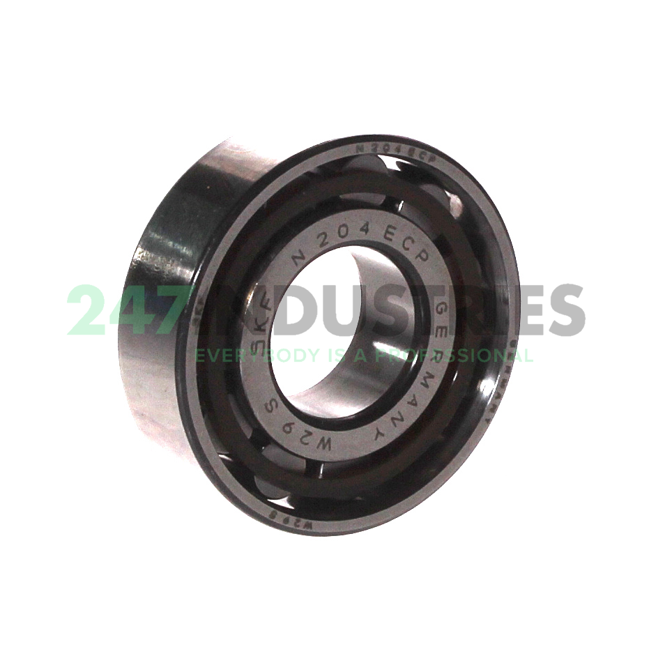N204ECP SKF