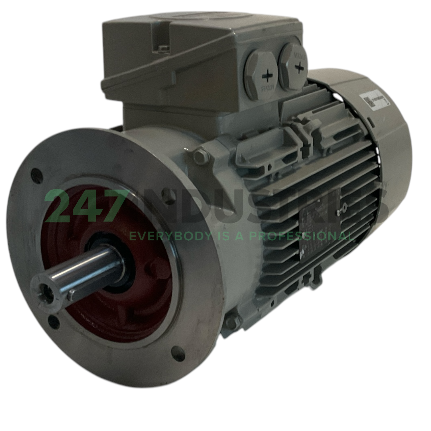 1LE1003-1AA42-2FB4-Z Siemens