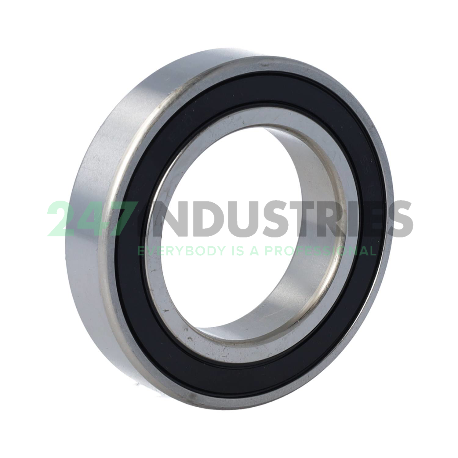 6009 2RS VA EZO Image 2