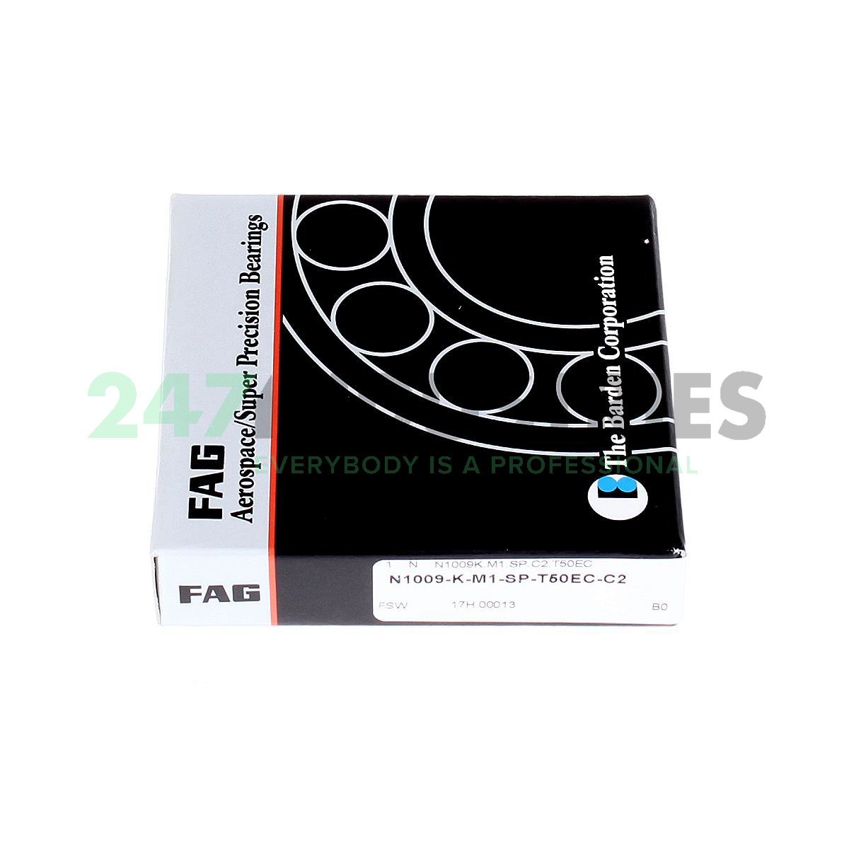 N1009-K-M1-SP-T50EC-C2 FAG Image 4