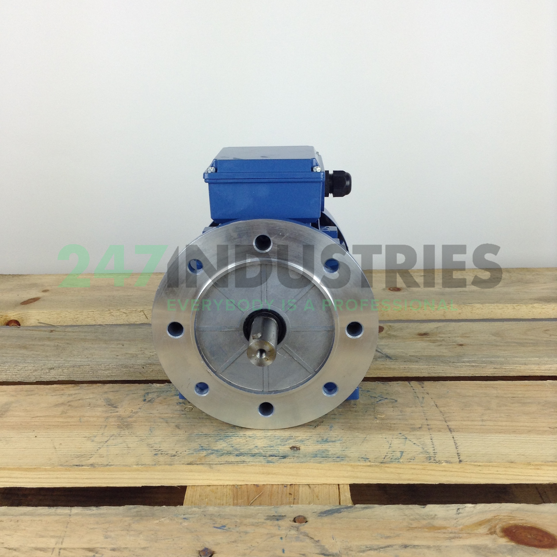 MS90S-2B35 Gibbons Image 4