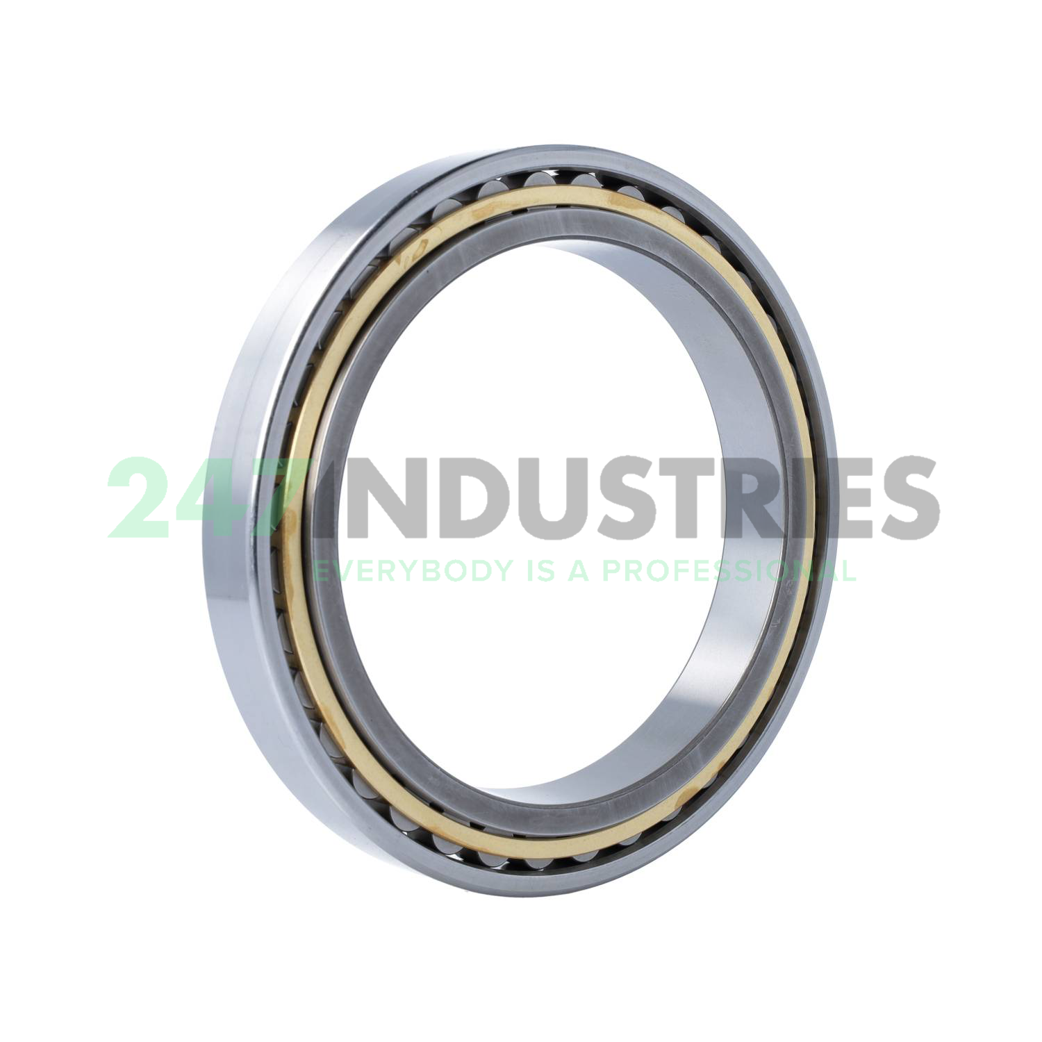 N1928-K-M1-SP FAG Image 2