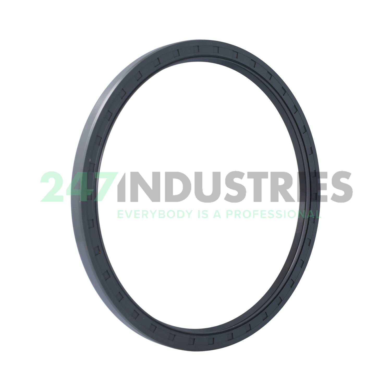 220X250X15HMSA10RG SKF