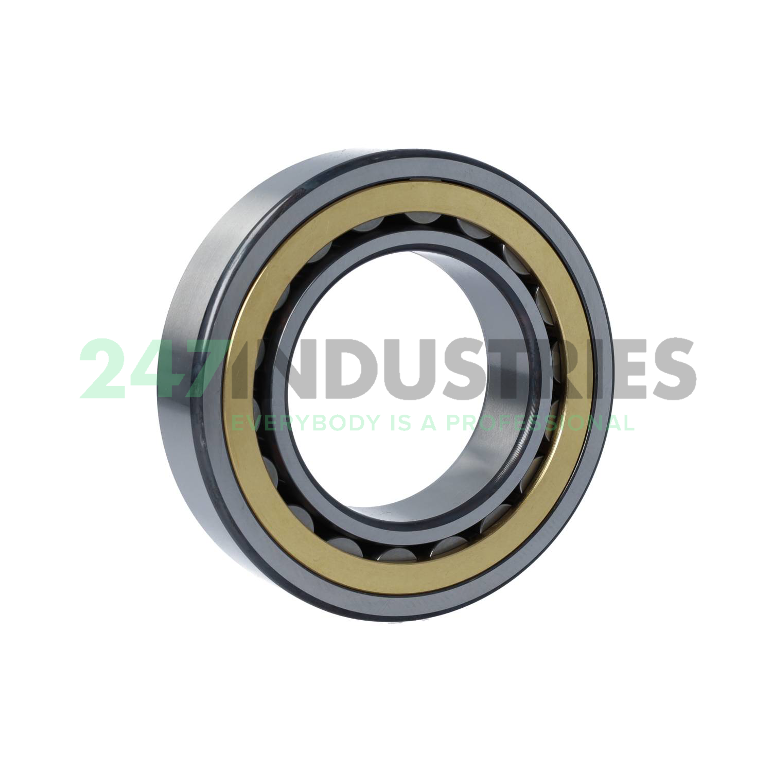 NJP2216-E-XL-M1A-C3 FAG Image 2