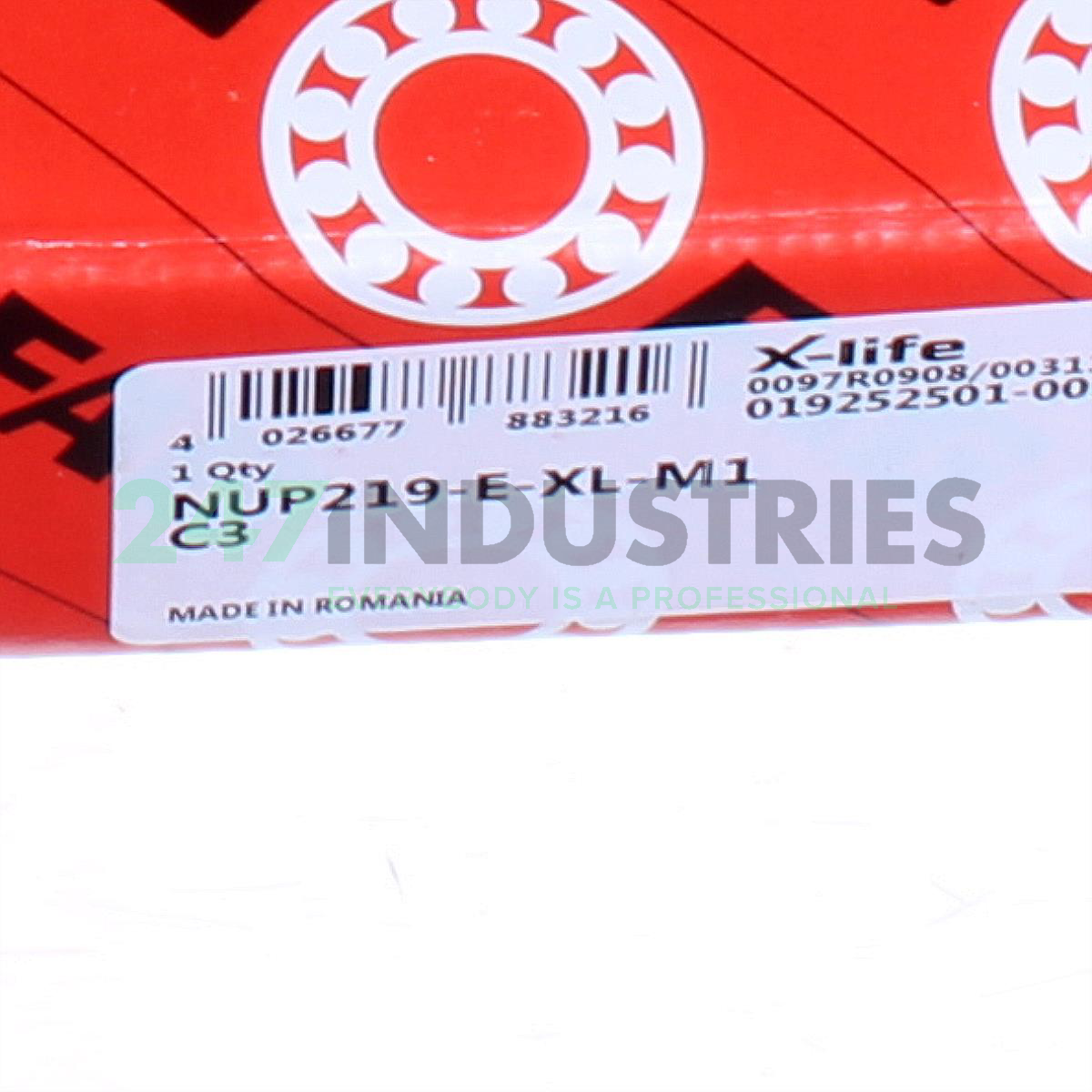 NUP219-E-XL-M1-C3 FAG Image 6