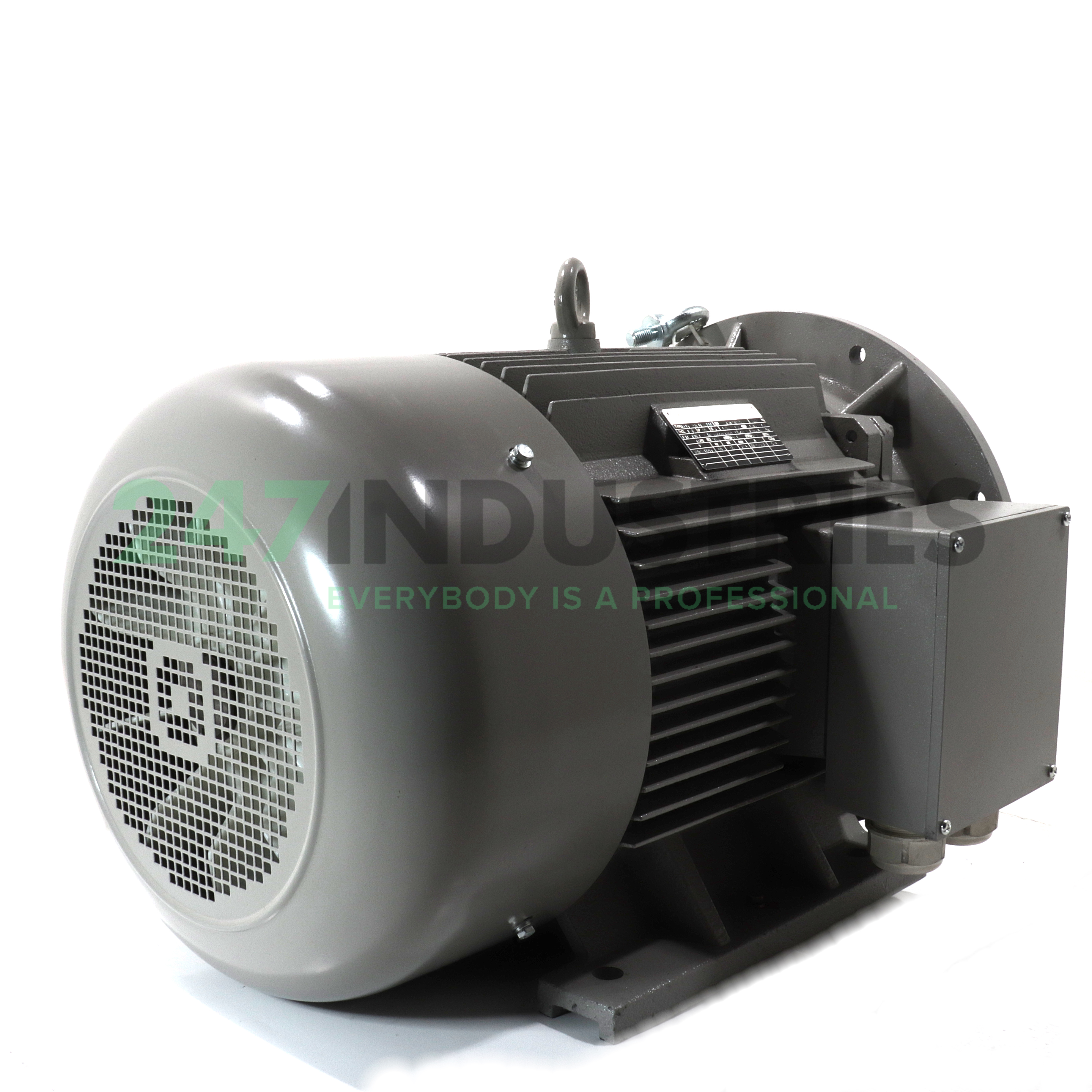 FCPL250M-4/PHEB35 AC-Motoren GmbH Image 3