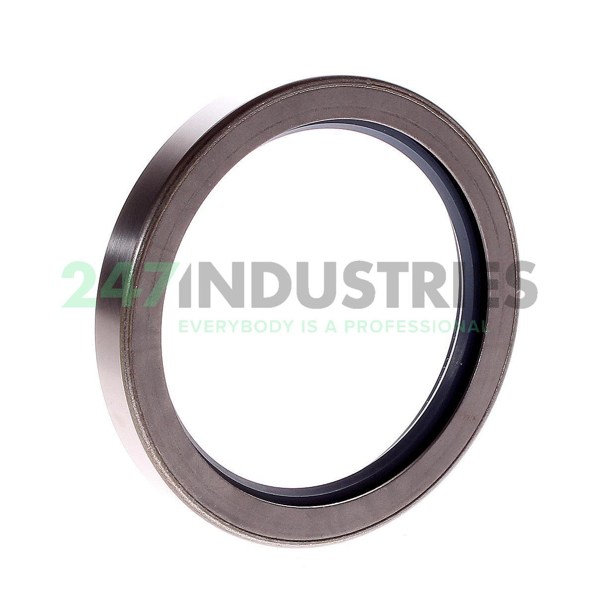 82X105X13CRSH13R SKF Image 1