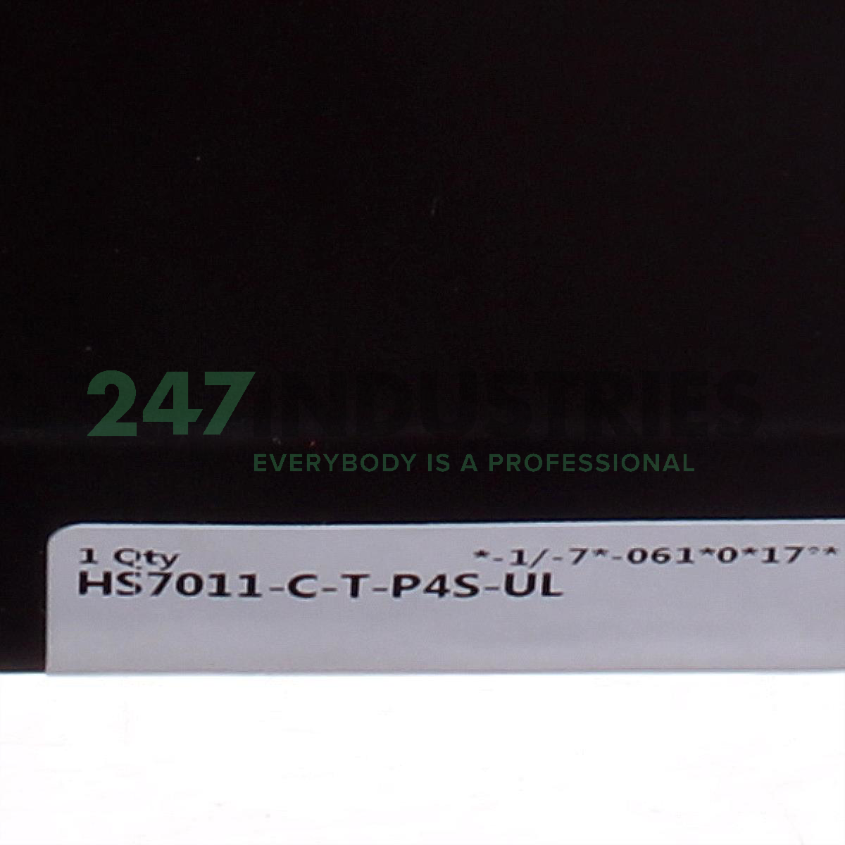 HS7011-C-T-P4S-UL FAG Image 3