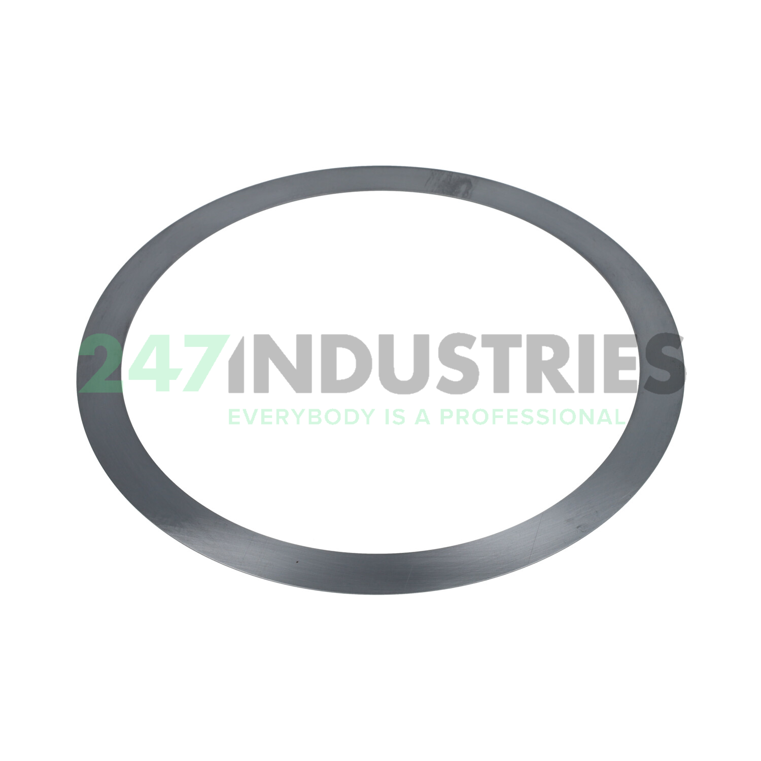 PS170X200X0,5 Seeger Image 2