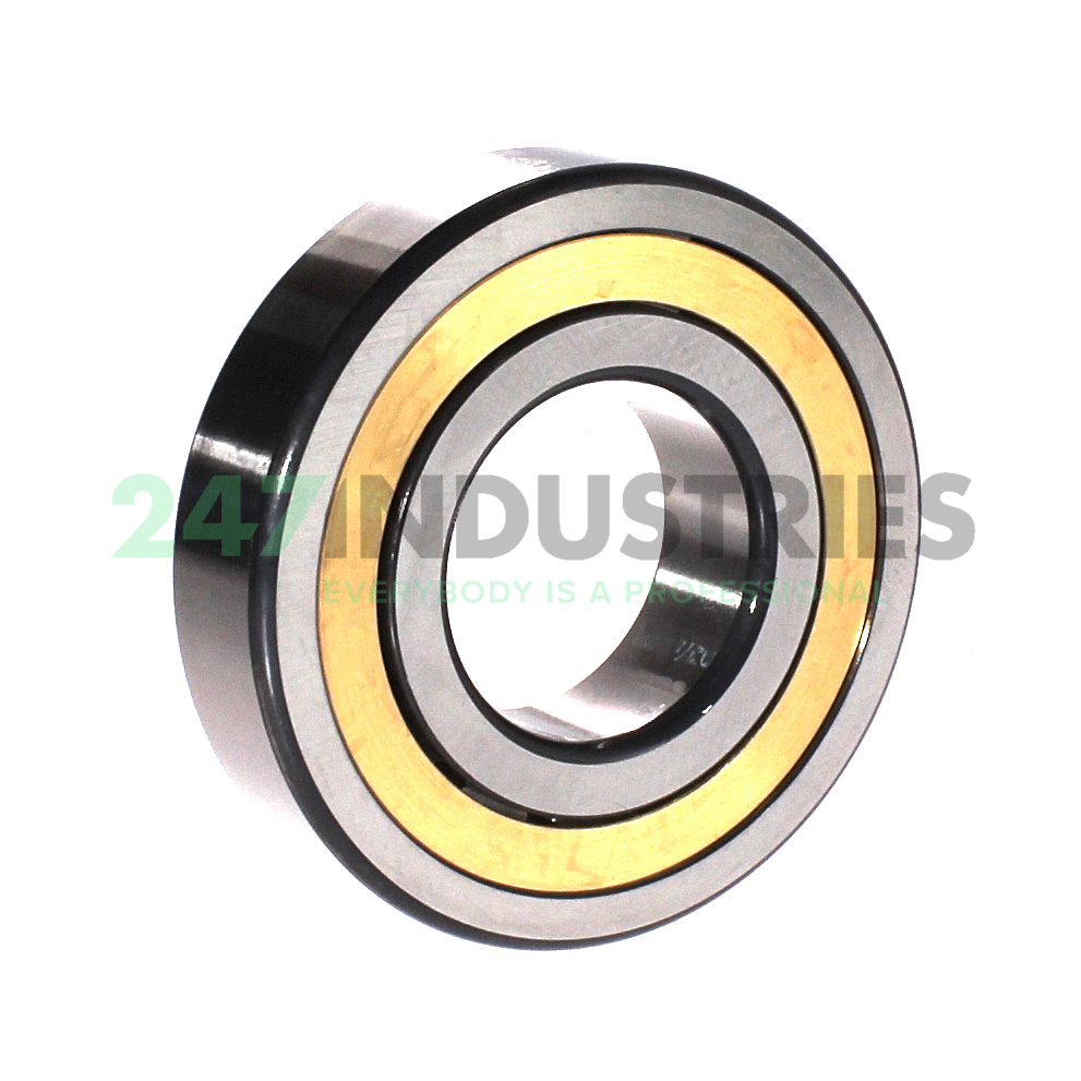 NJ310-E-XL-M1A-C4 FAG Image 2