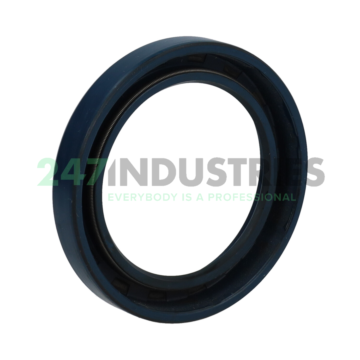 CR46X65X10HMS47R Chicago Rawhide Ltd Image 2