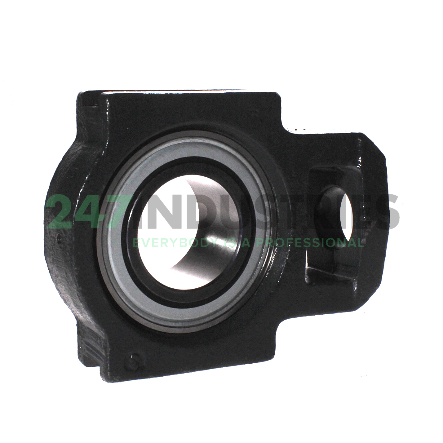 PTUEY60-XL INA Image 3