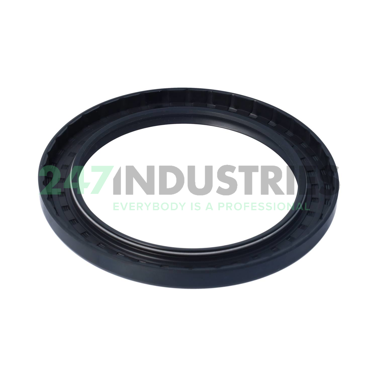 TC120X160X12 SOG Image 2