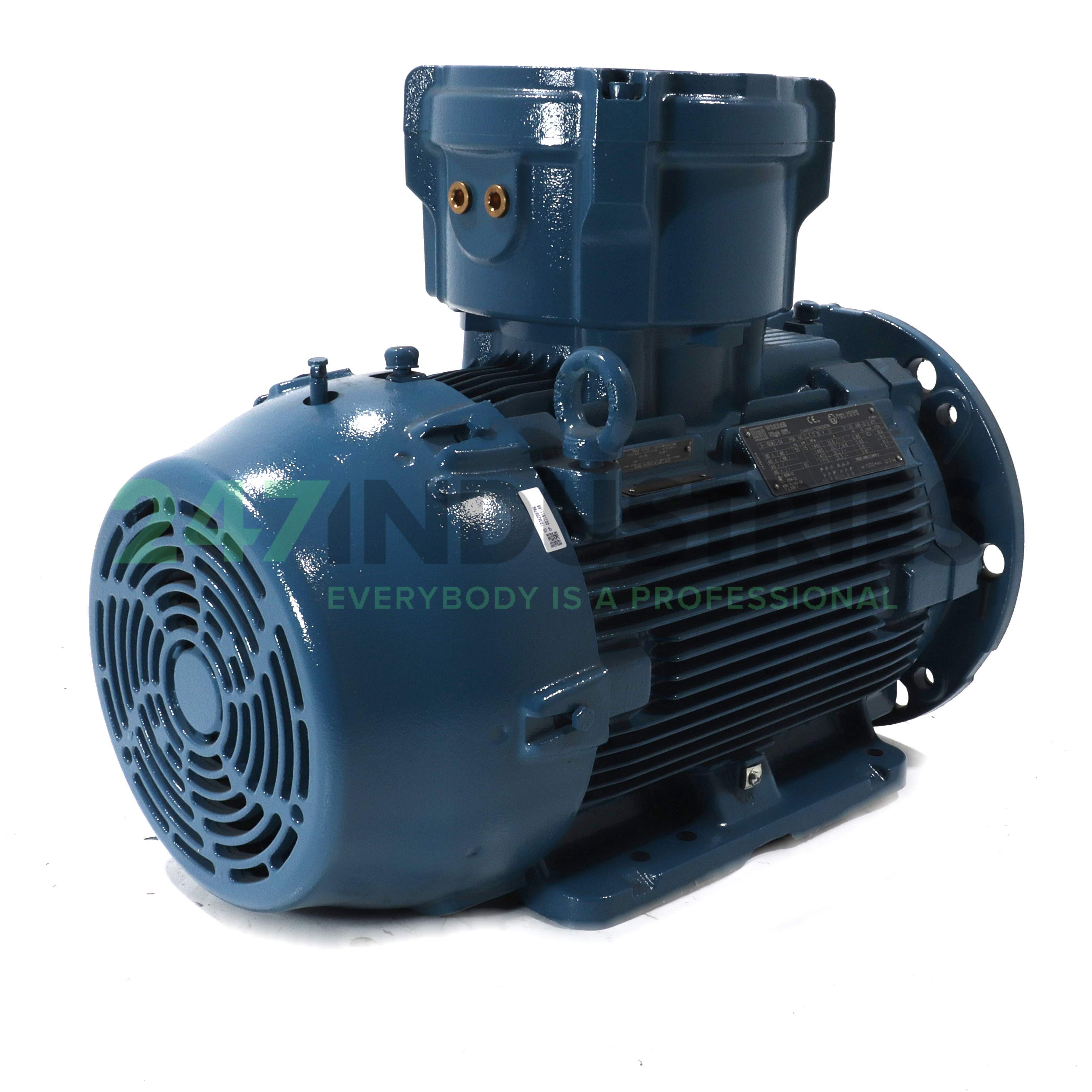 15K32CI2160ML4B352G WEG Image 3