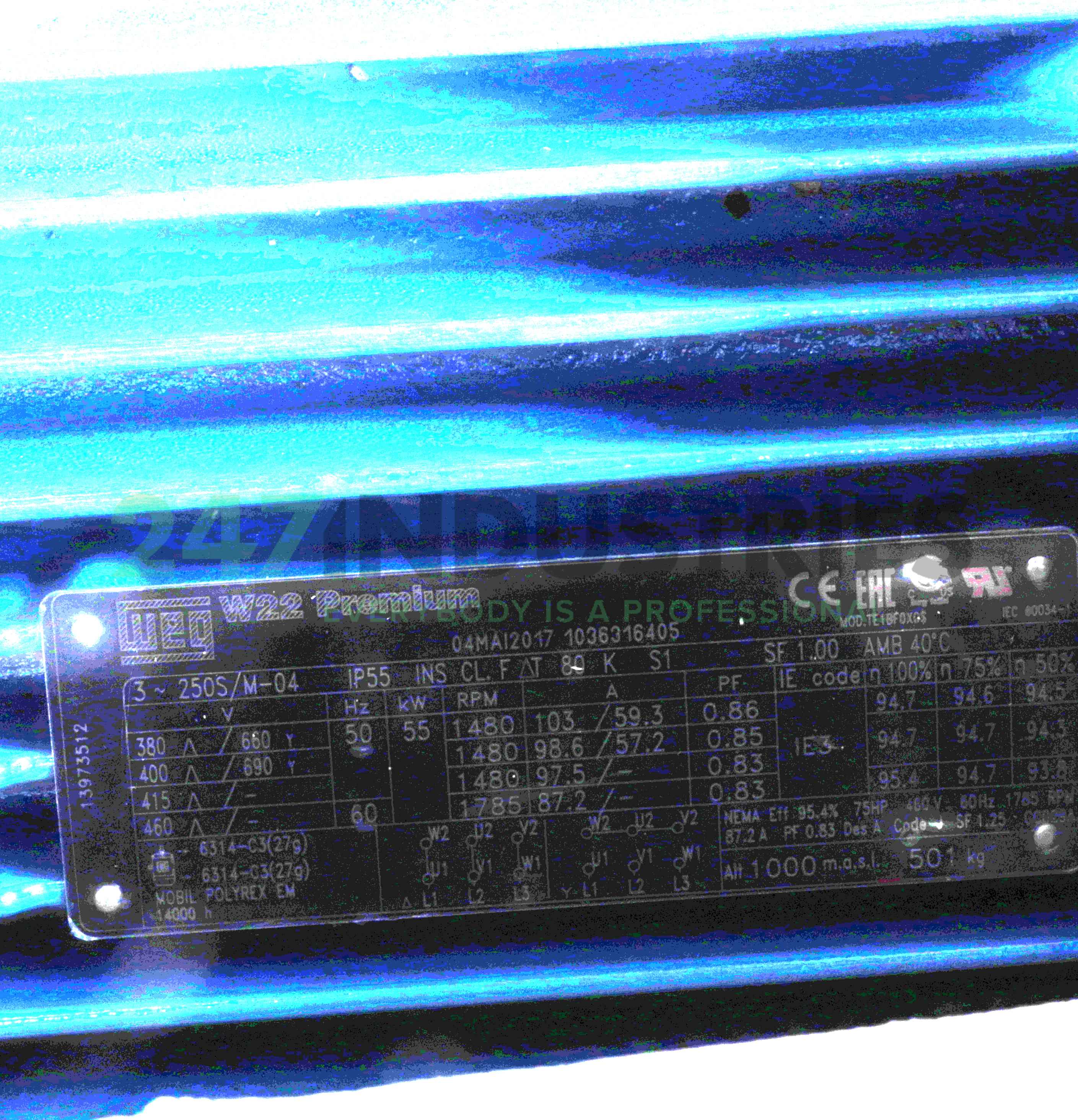 55K32CI3250S/M4B5 WEG Image 4