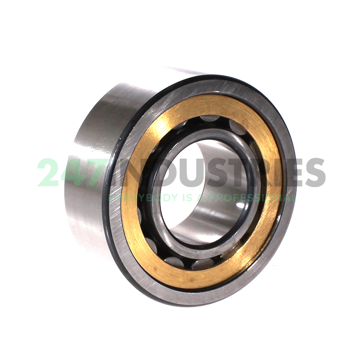 NU2309-E-XL-M1A-C4 FAG Image 2