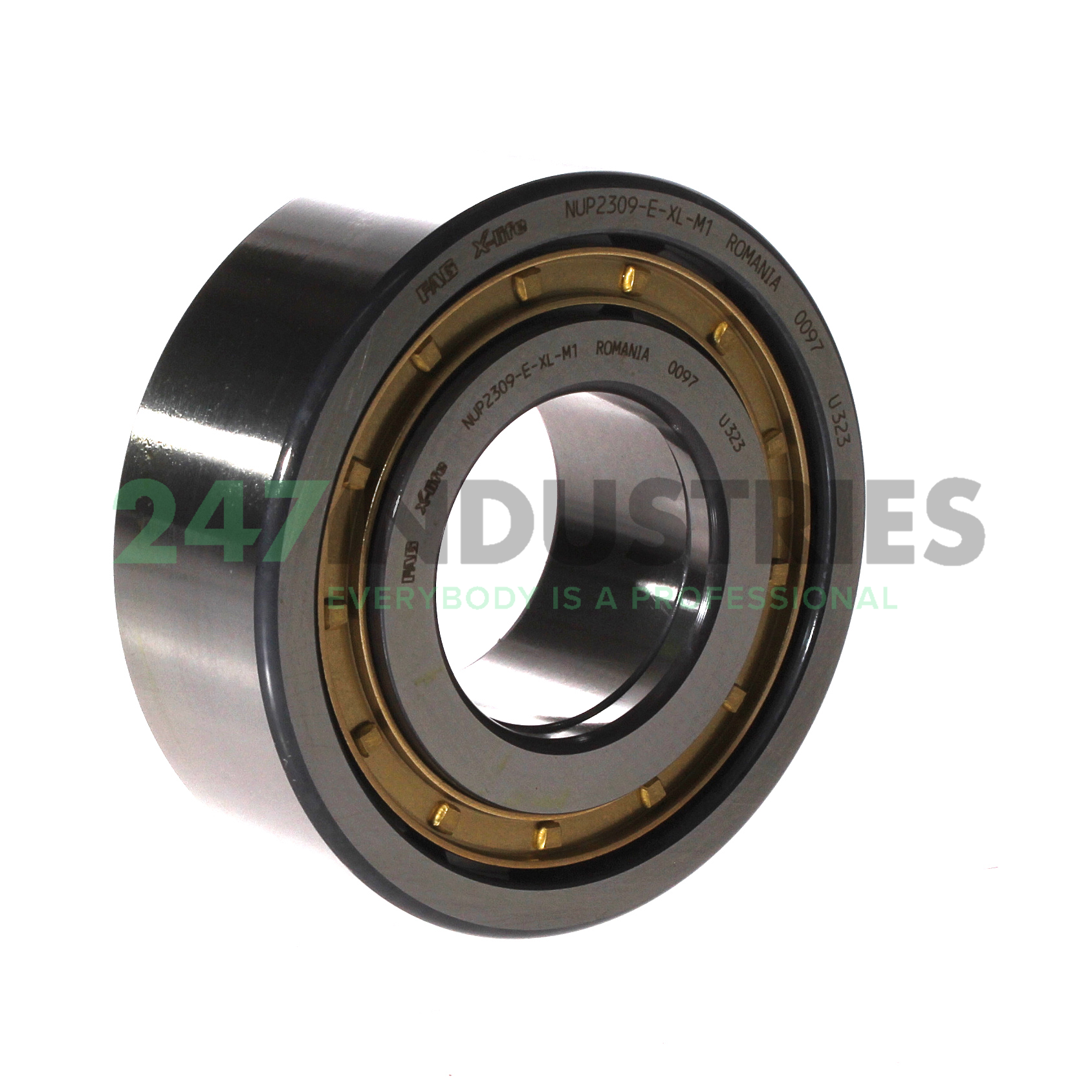 NUP2309-E-XL-M1 FAG