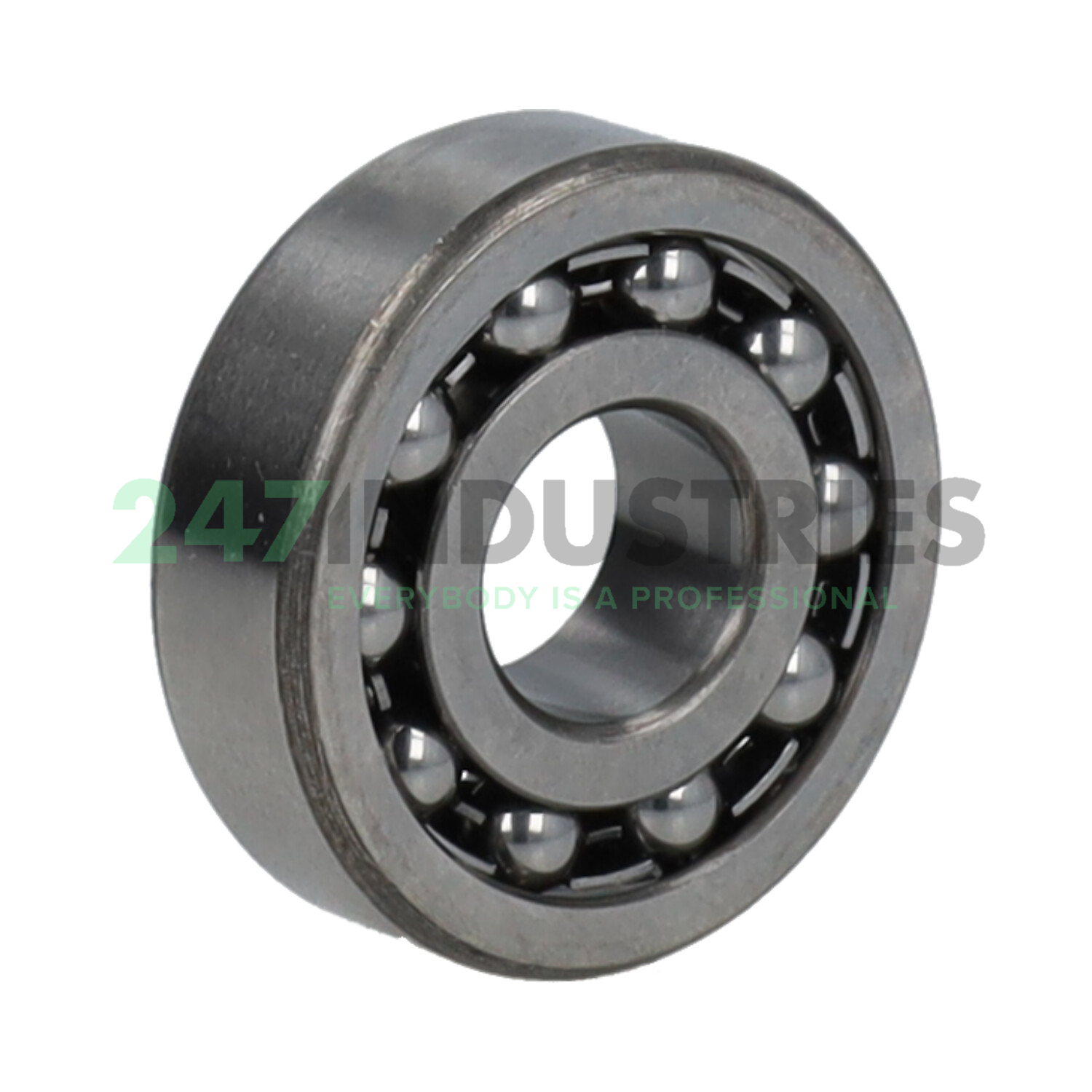 1201 SKF Image 2