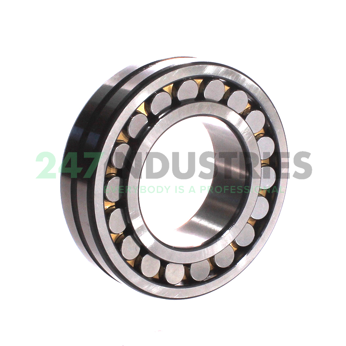 22213CAW33 ZWZ Image 2