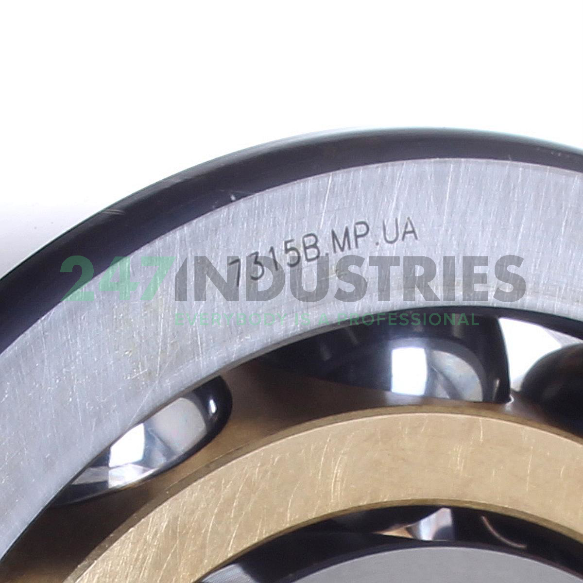 7315B.MP.UA FAG Image 2