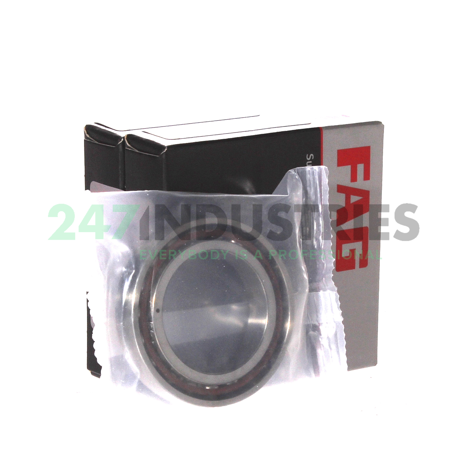 B71906-E-T-P4S-DUL FAG Image 1