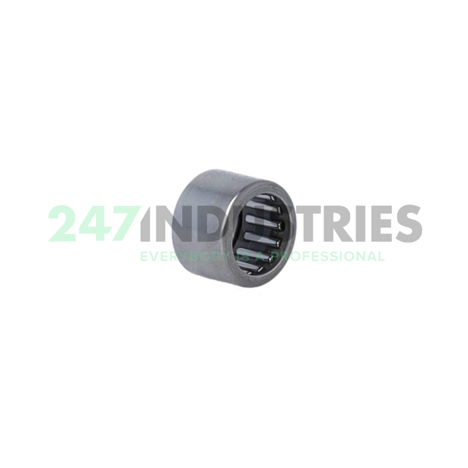 HK1010 NTN Image 2