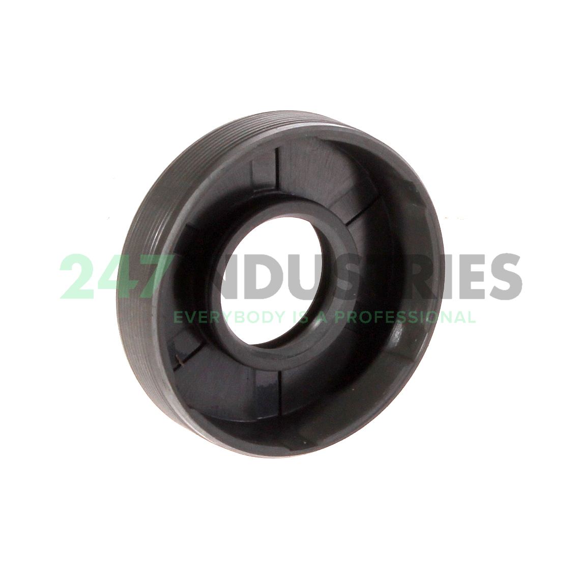 17X40X10HMSA10RG SKF Image 2