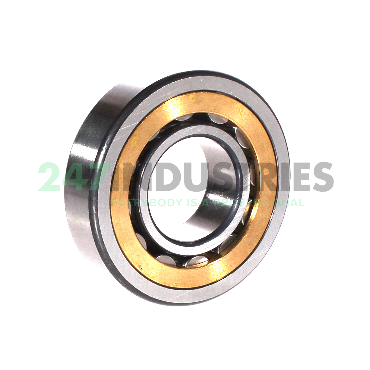 NU307-E-XL-M1A-C3 FAG Image 2