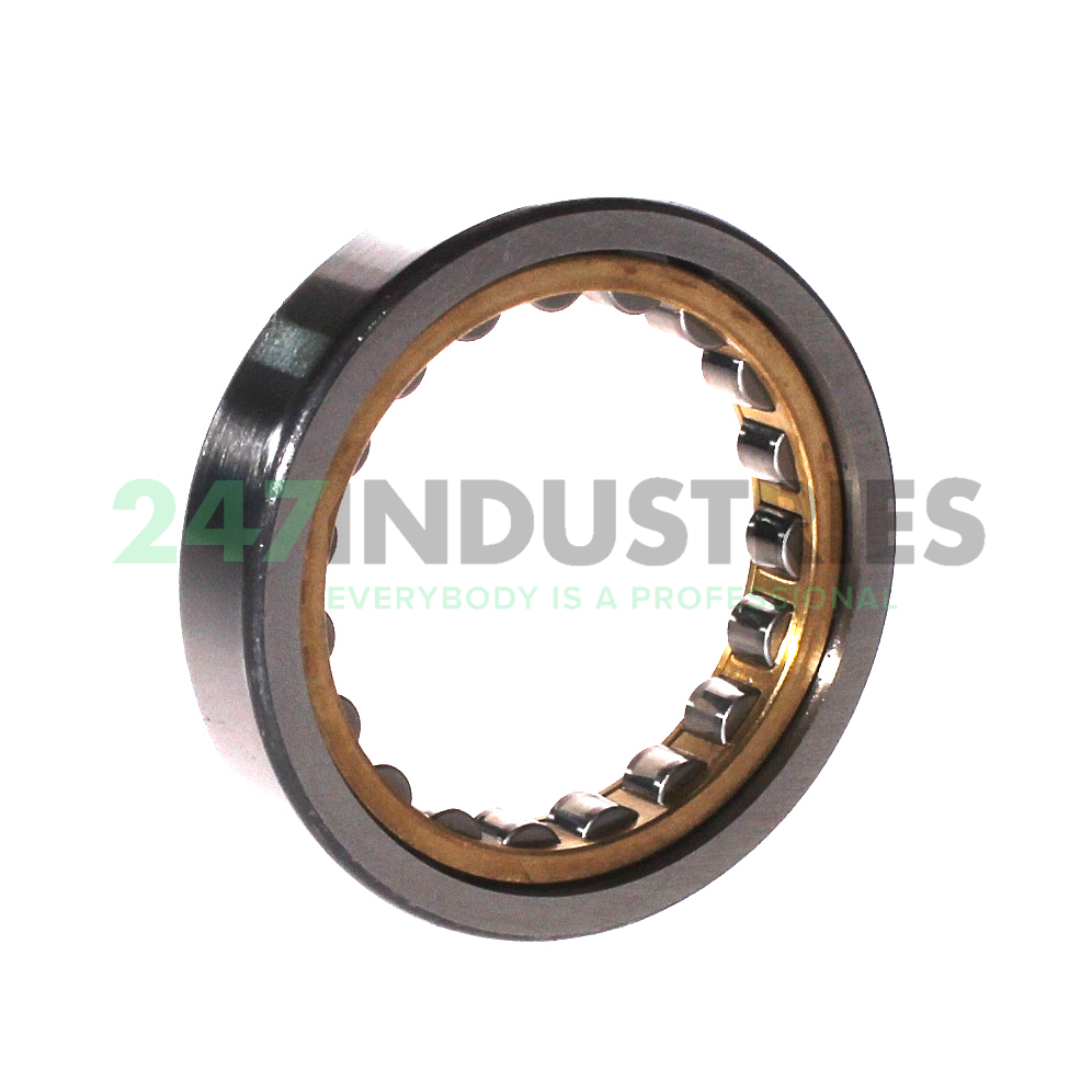 RNU1008-XL-M1 FAG Image 2