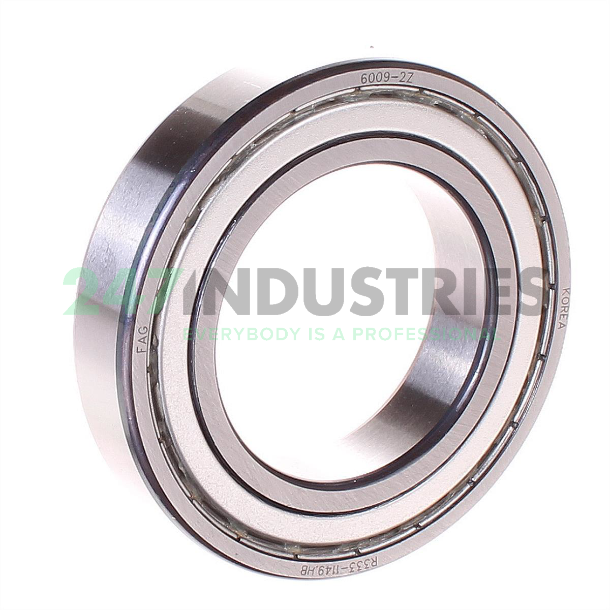 6009-2Z FAG Image 2