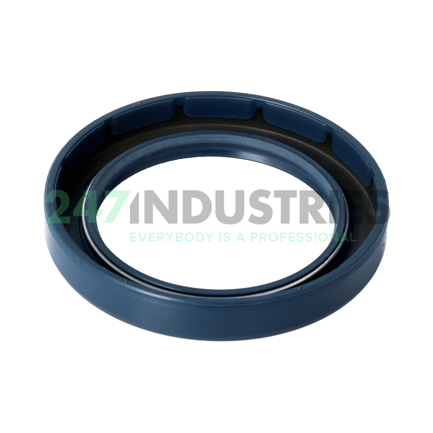 BAB3 SL05 50X70X10 Freudenberg Image 2