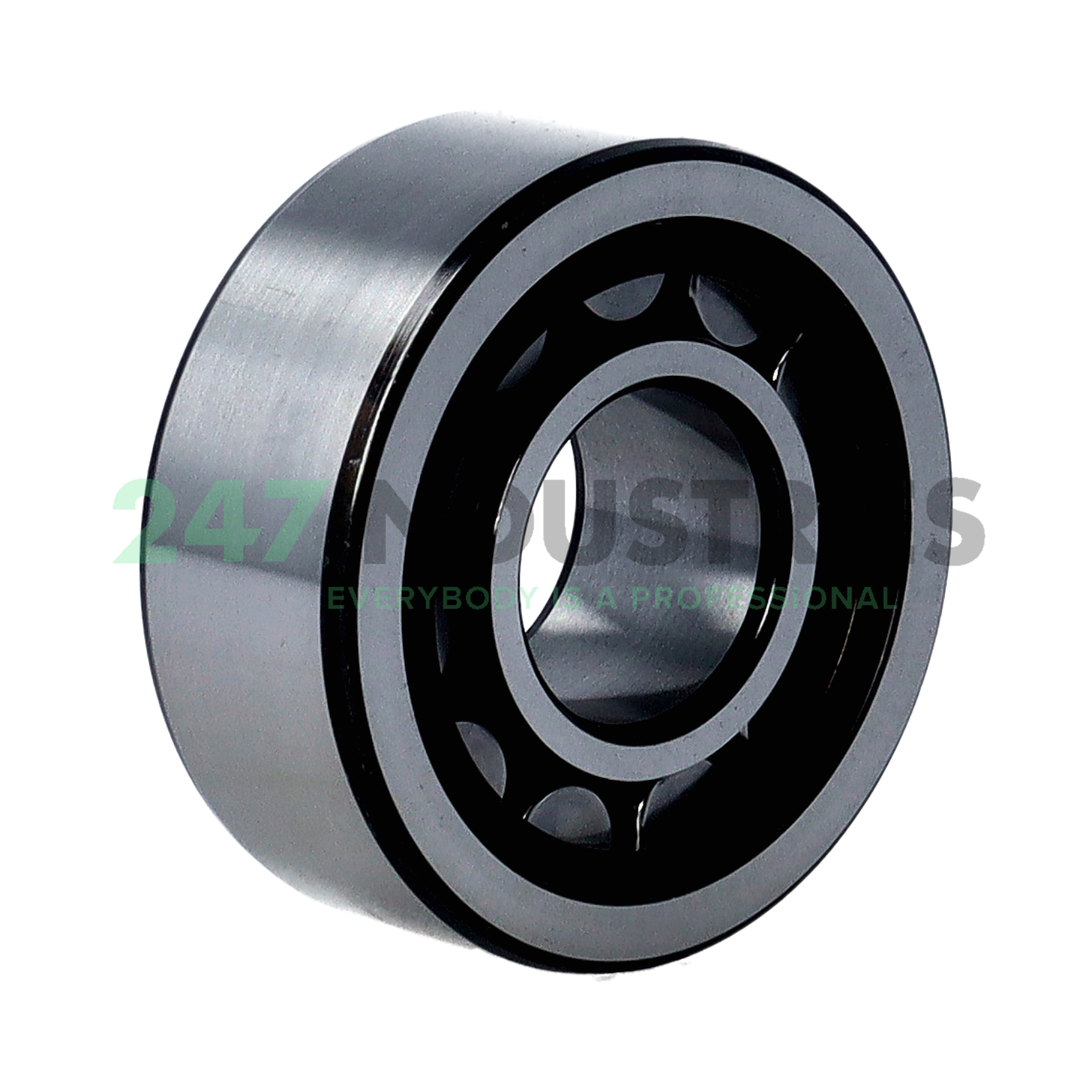 NJ2305ECP/C4 SKF Image 2