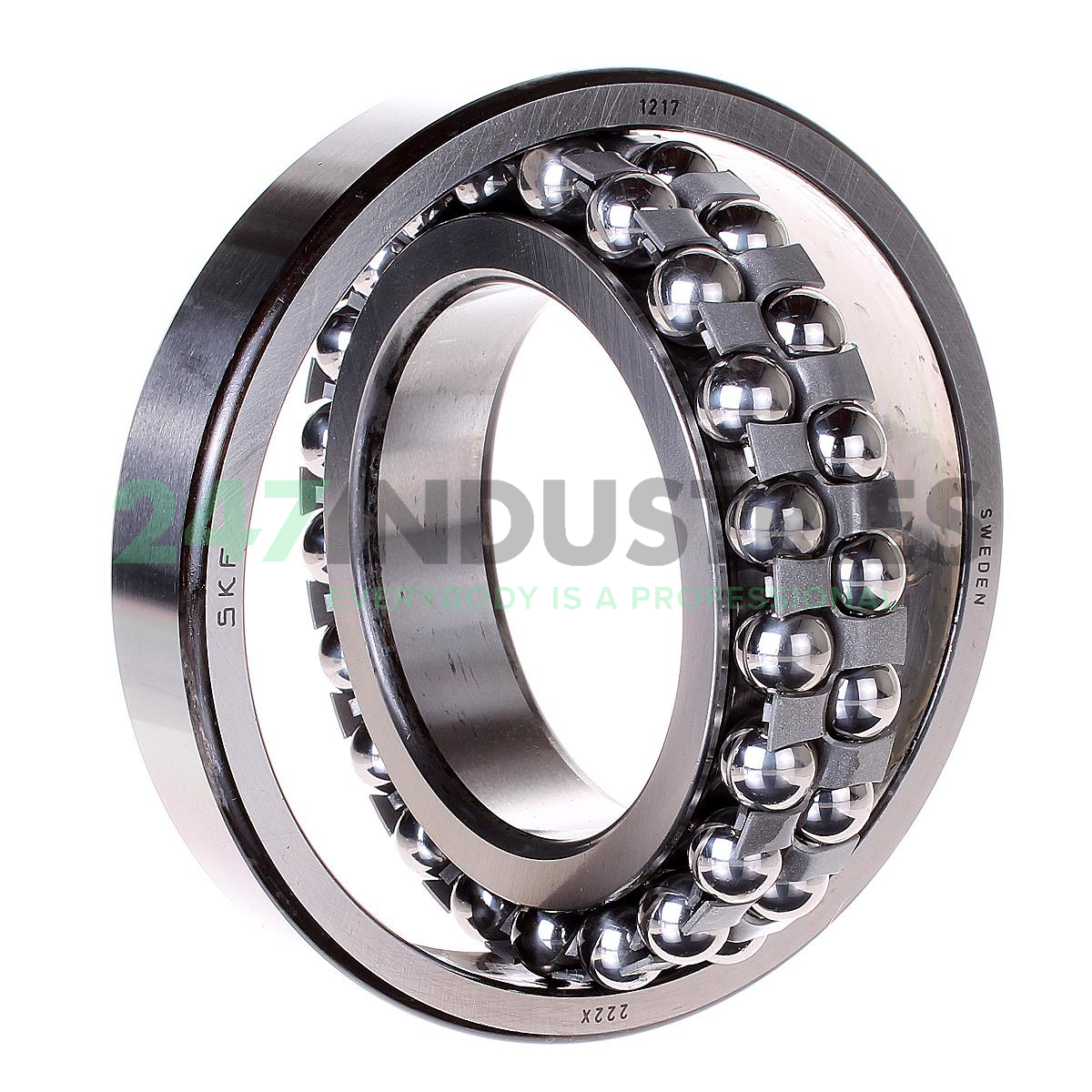 1217 SKF Image 2