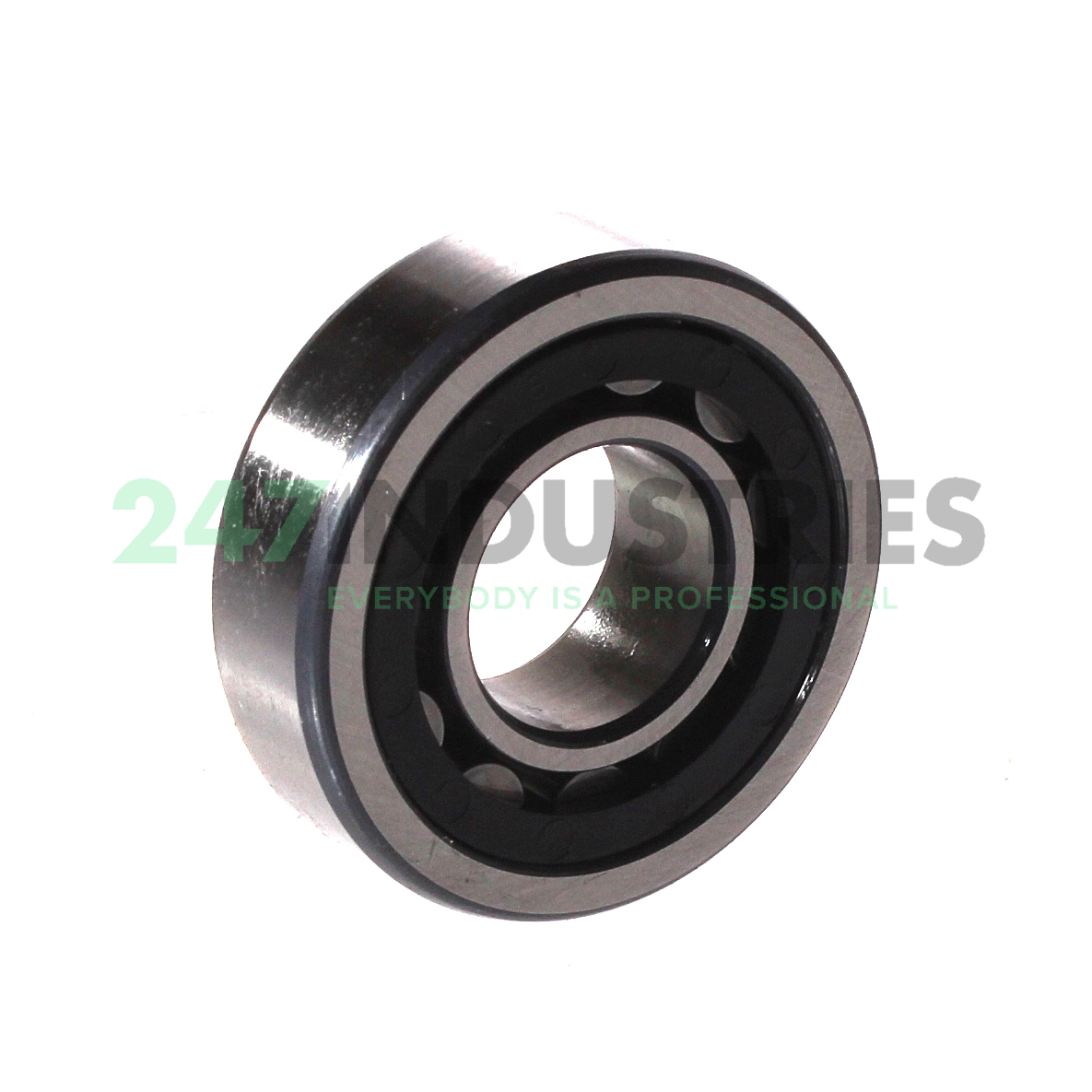 NU203E.TVP2.C3 FAG Image 2