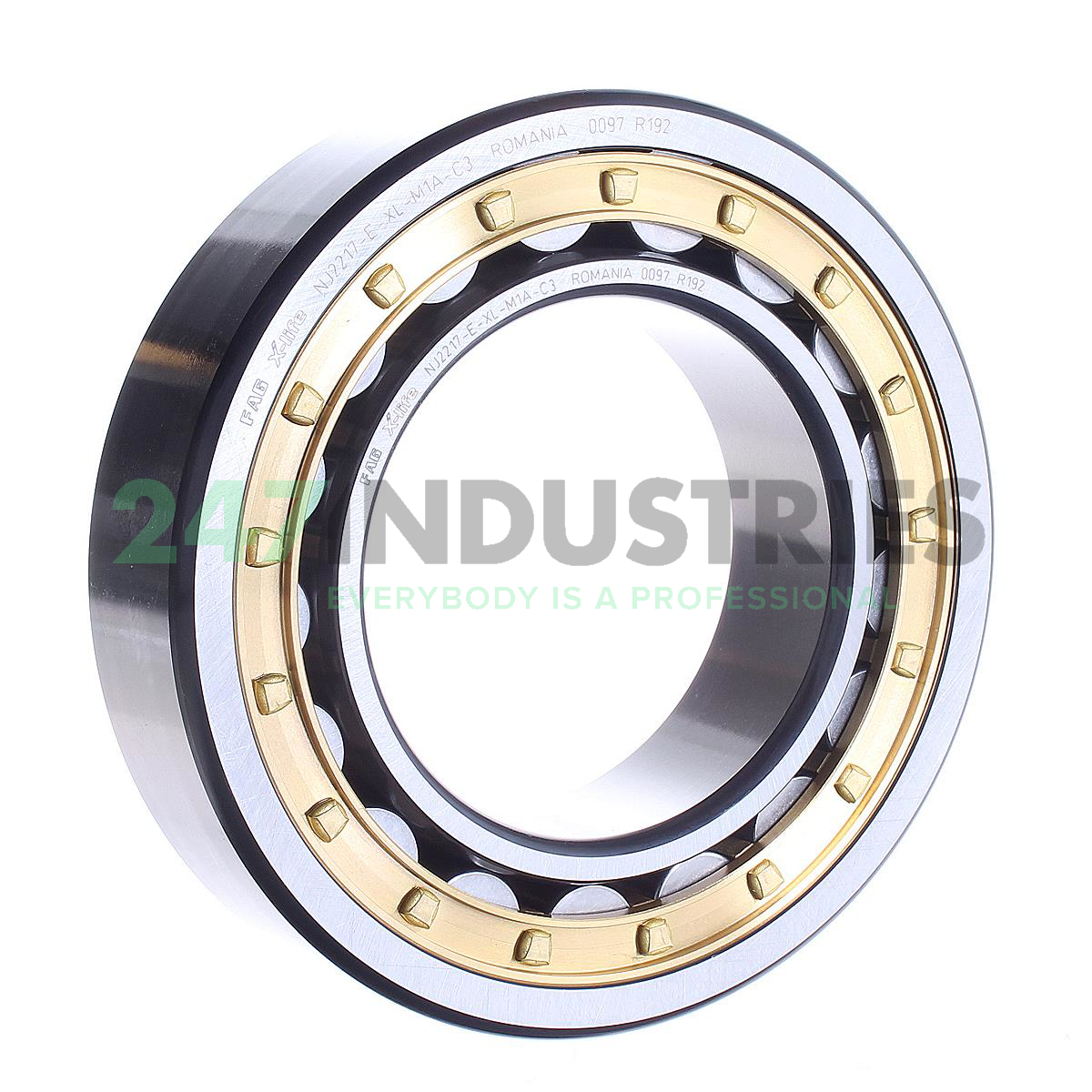 NJ2217-E-XL-M1A-C3 FAG