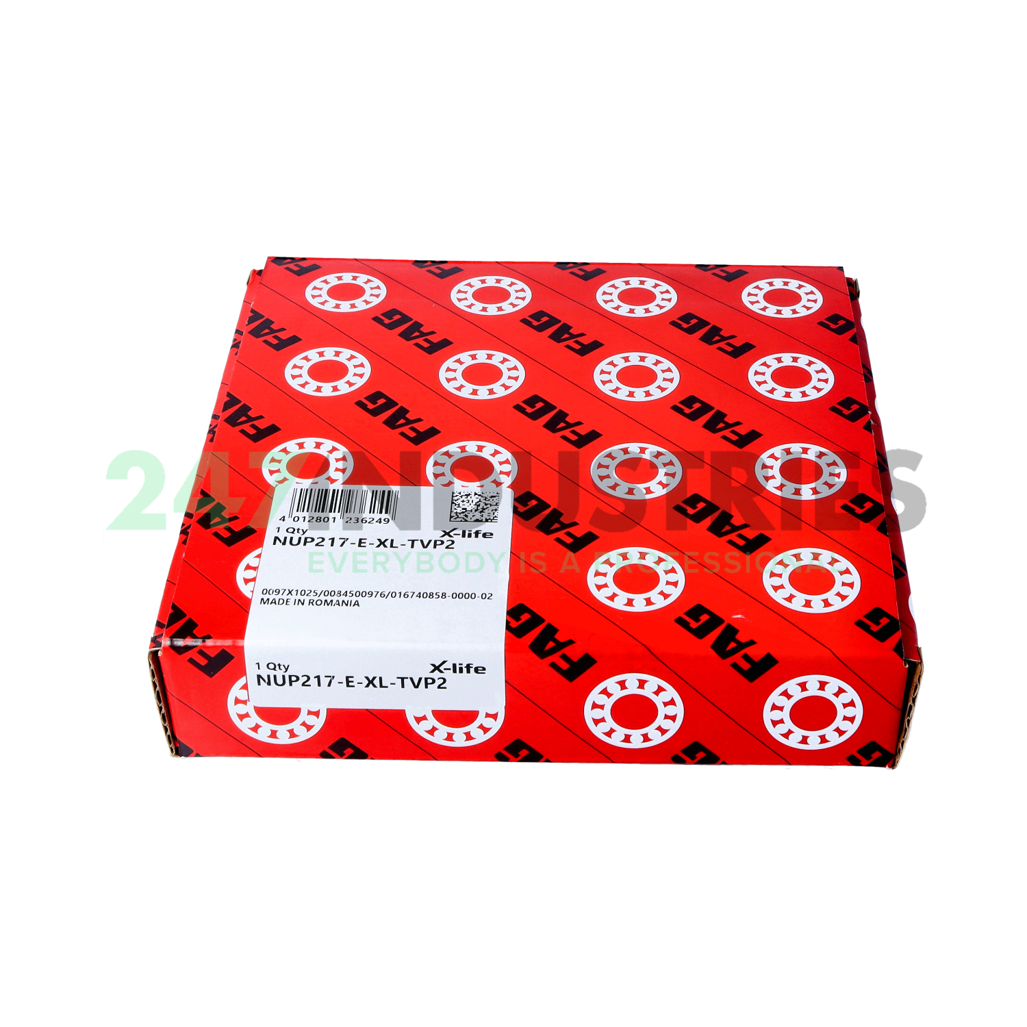 NUP217-E-XL-TVP2 FAG Image 4