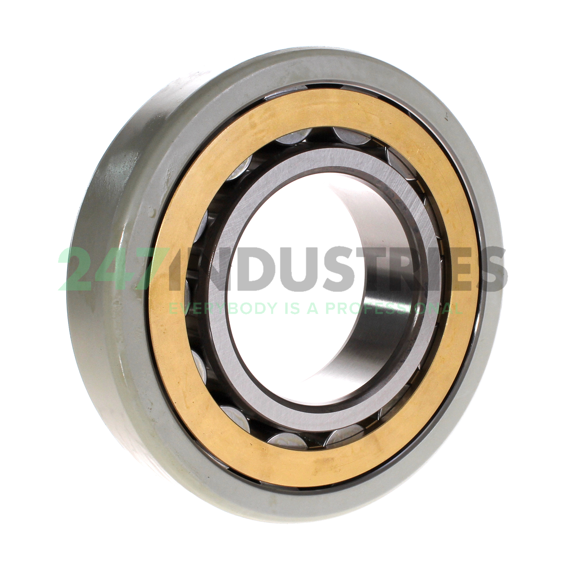 NU319ECM/C3VL0241 SKF Image 2