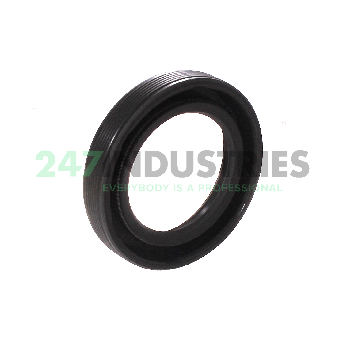 25X38X7HMS5RG SKF Image 2