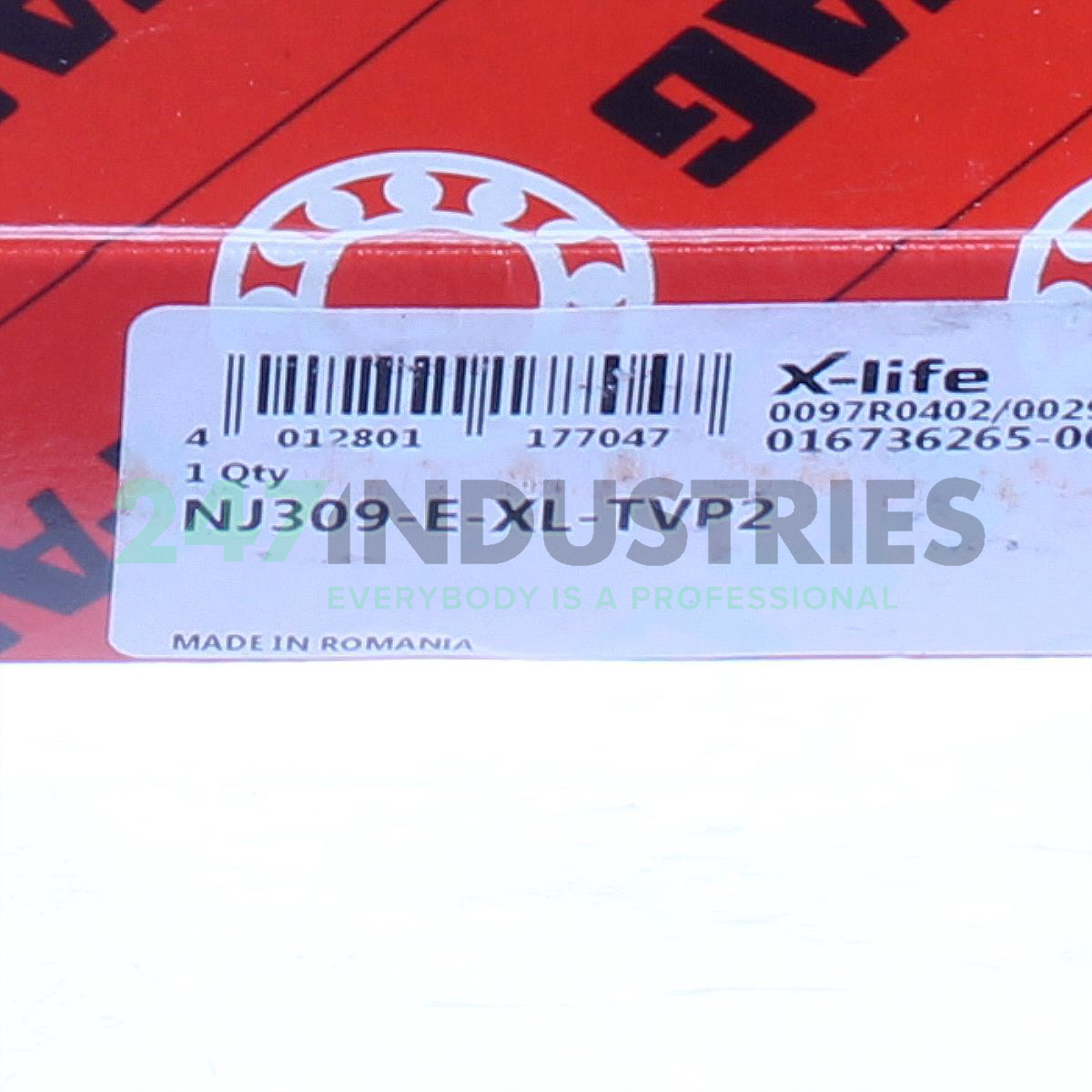 NJ309-E-XL-TVP2 FAG Image 4