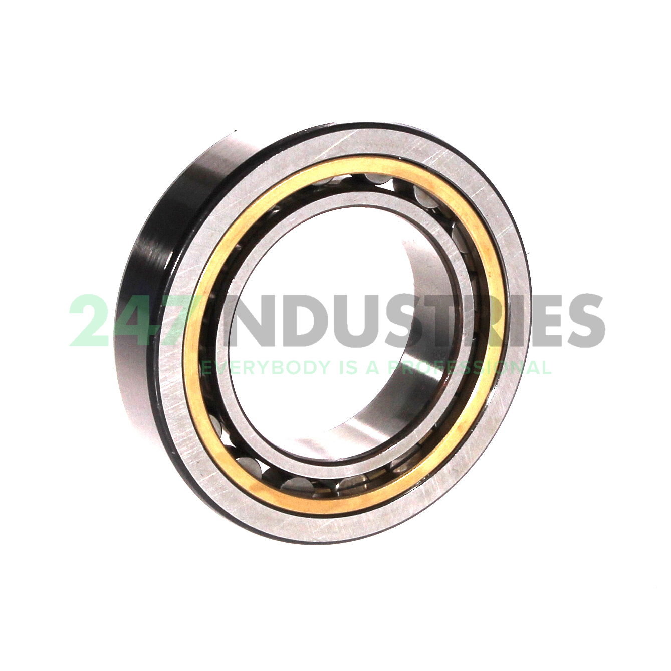 NU1008ML SKF Image 2