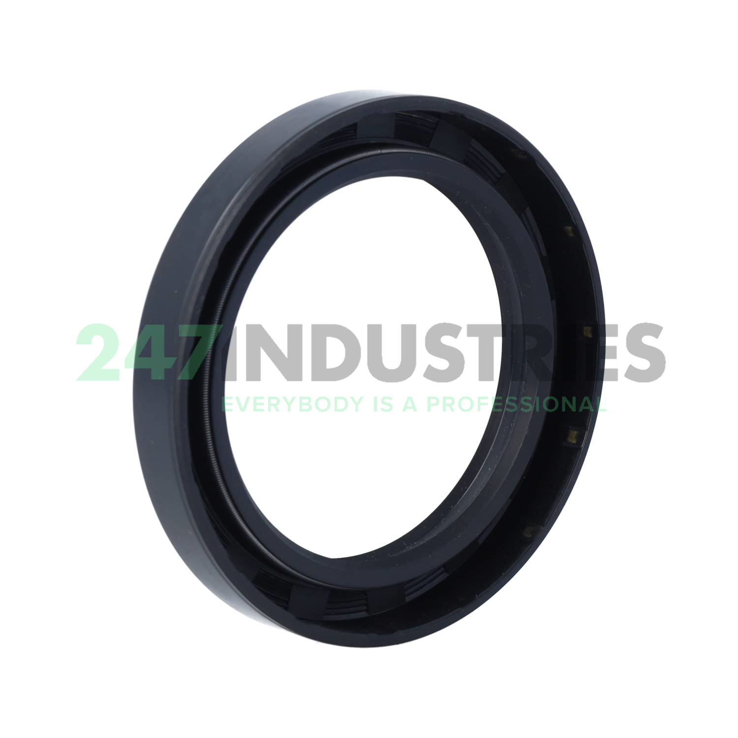 TC65X90X13 CHO Champ Oil Seals Image 2