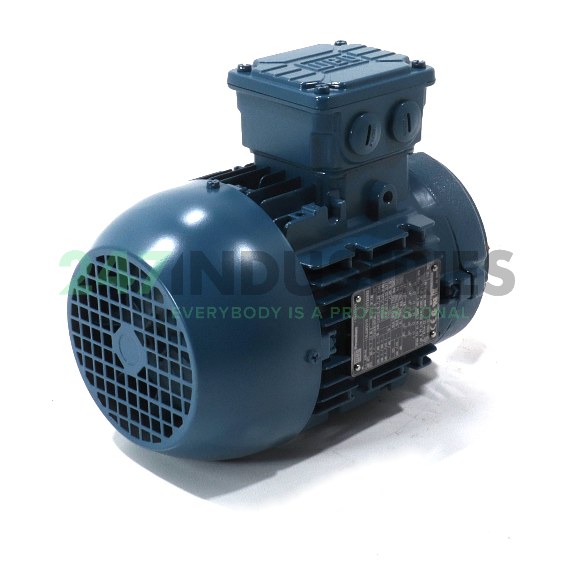 0.55K31AL0804B14 WEG Image 3