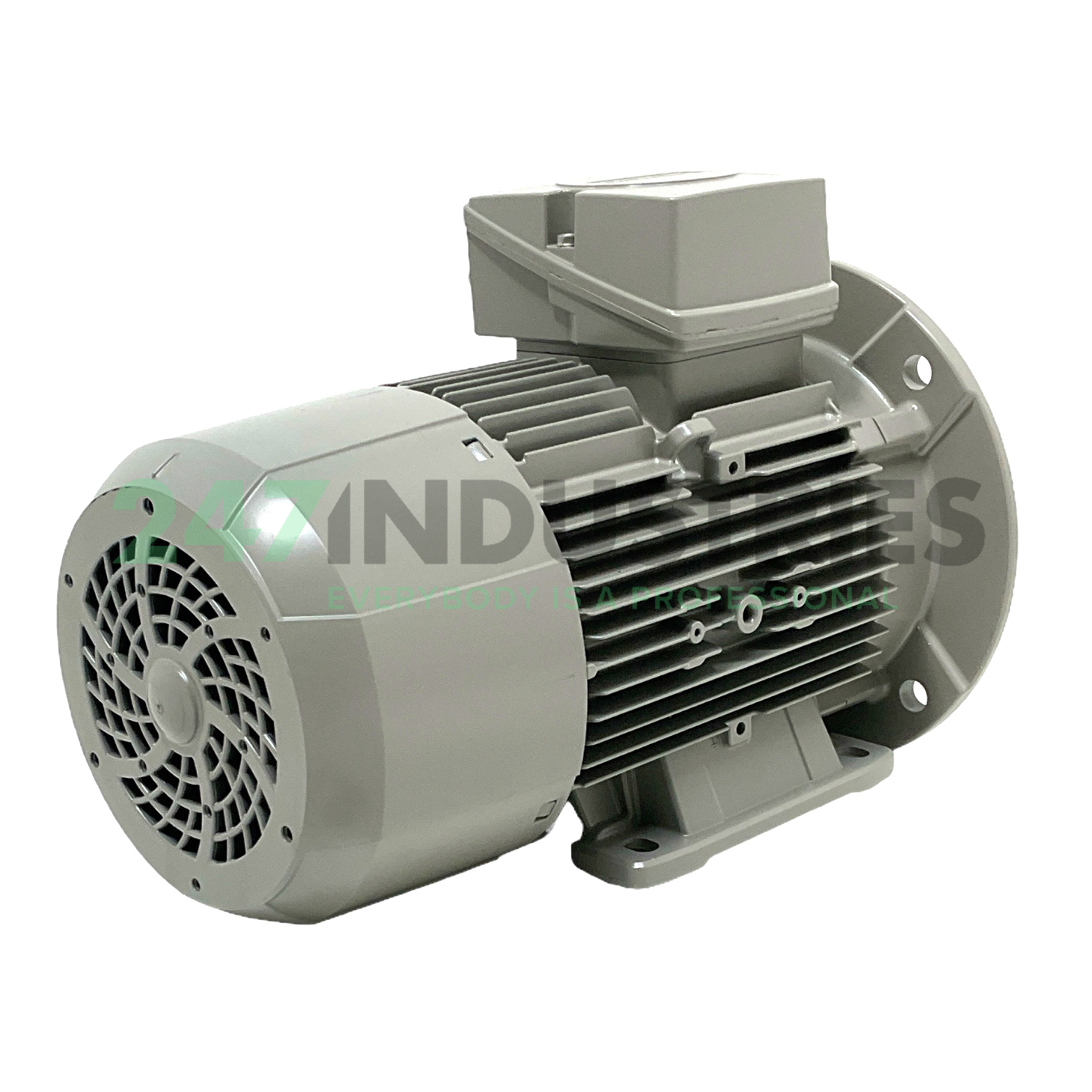 1LE1004-1AA42-2JA4 Siemens Image 3