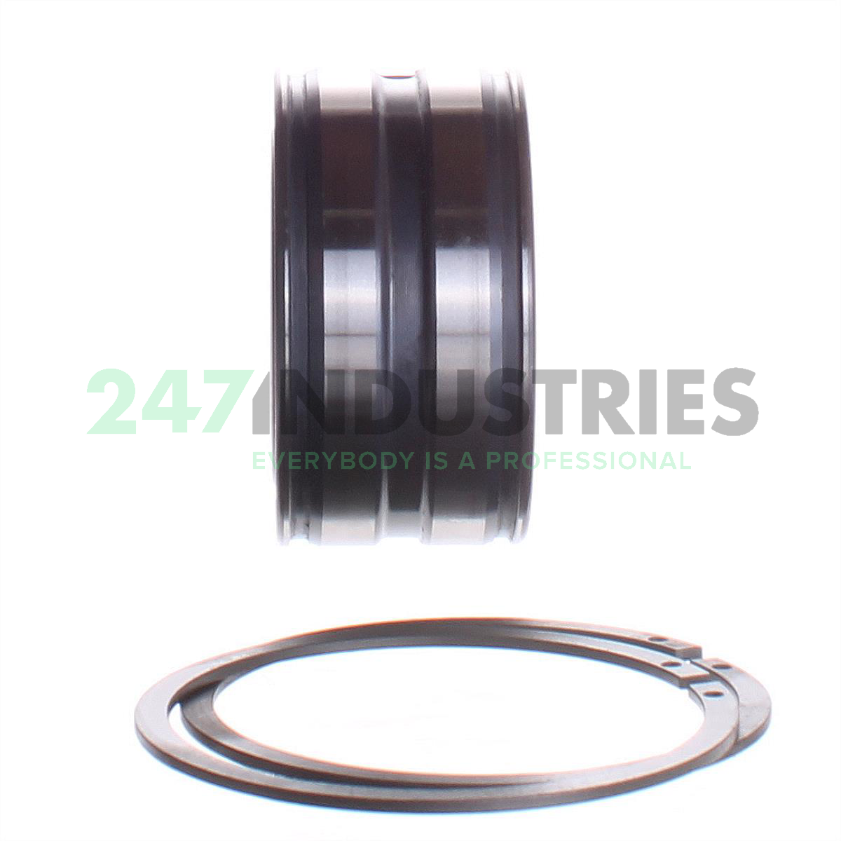 SL045009-PP-2NR INA Image 2