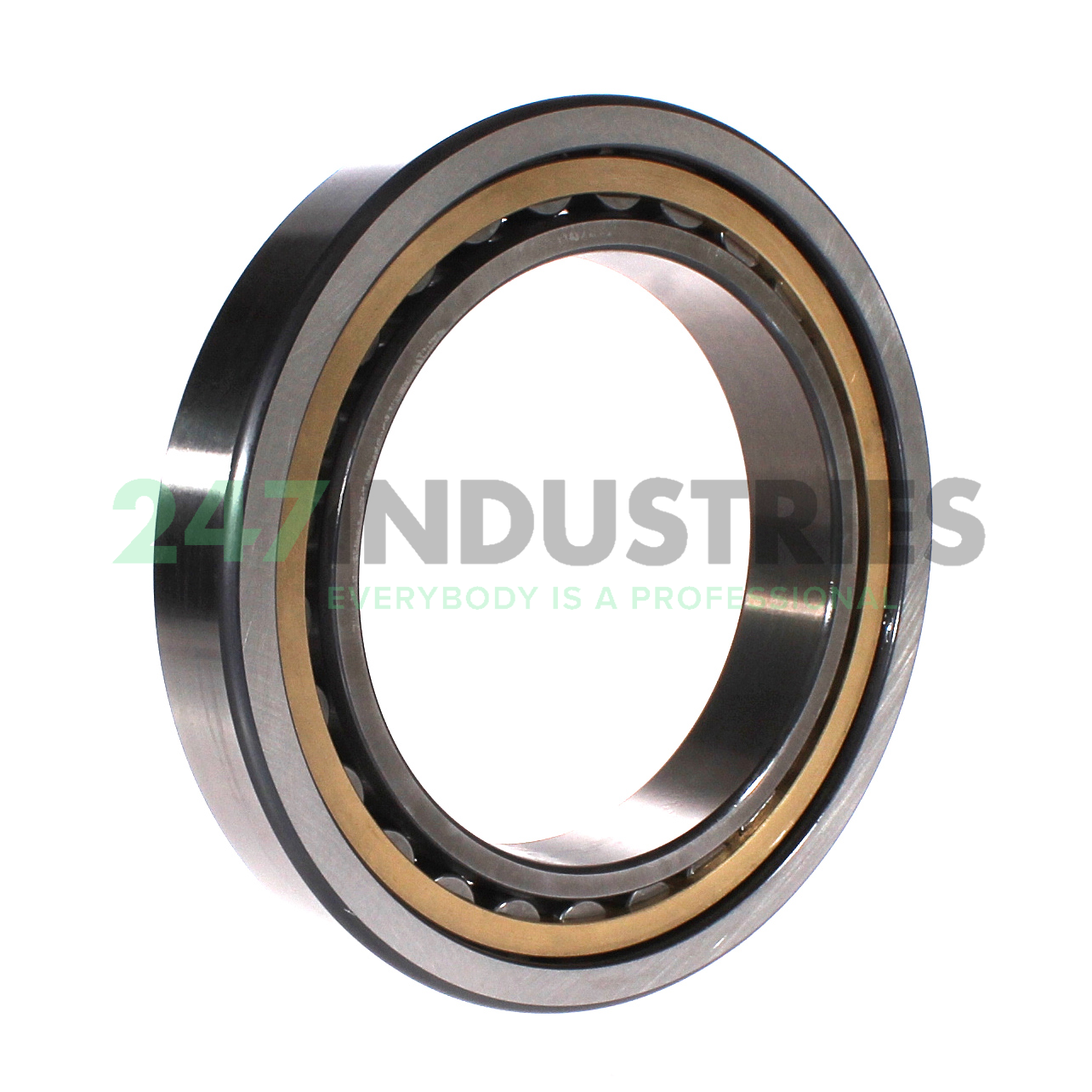 NU1028-XL-M1-C3 FAG Image 2