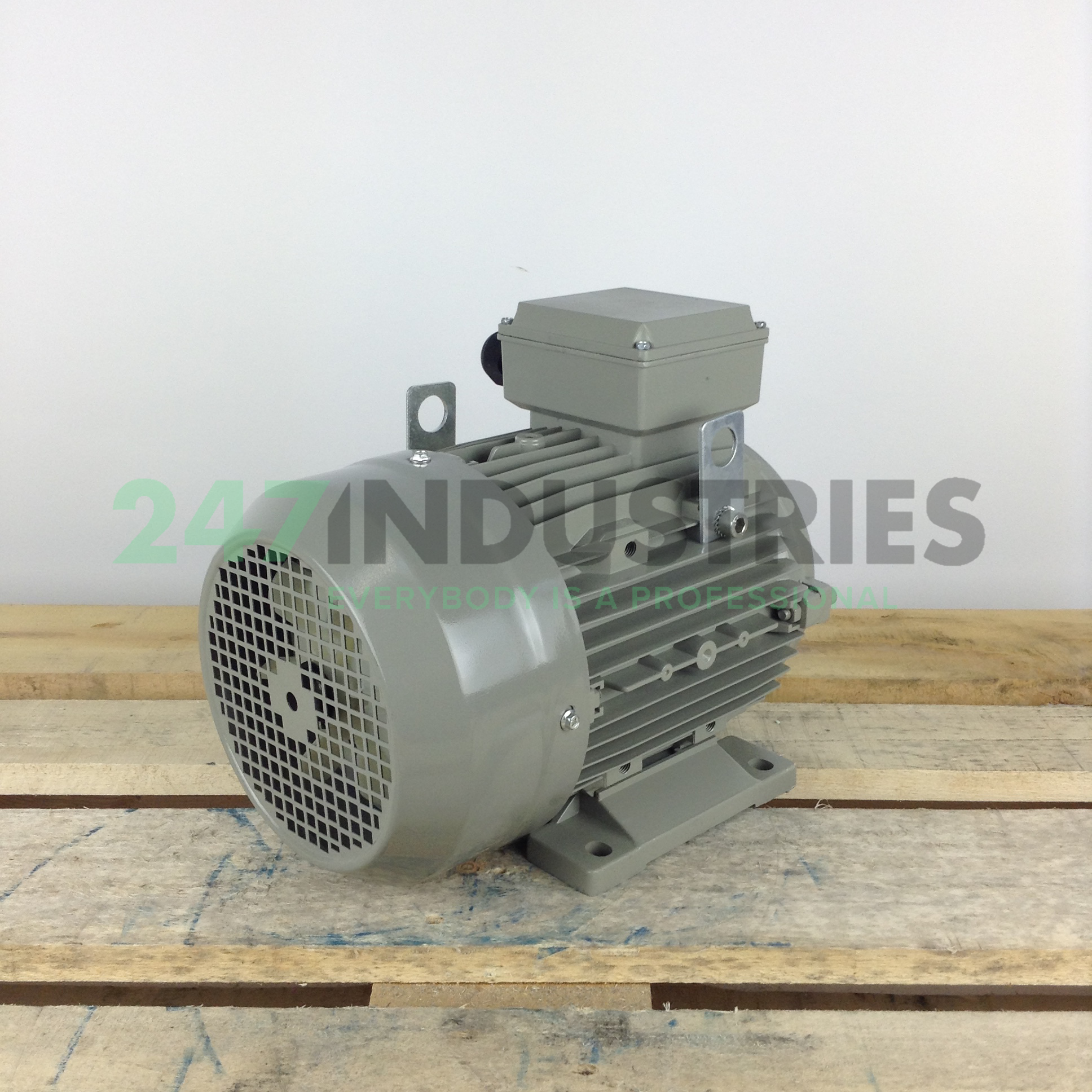 ME112M-4B3 Gibbons Image 3