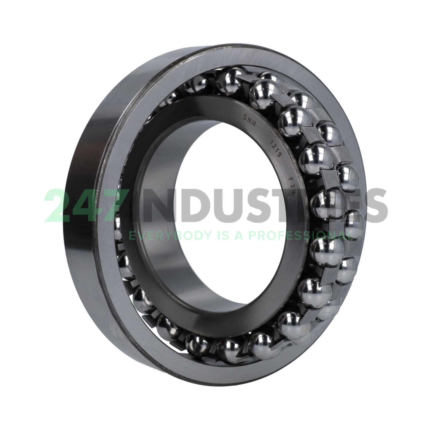 1219 SNR Image 3
