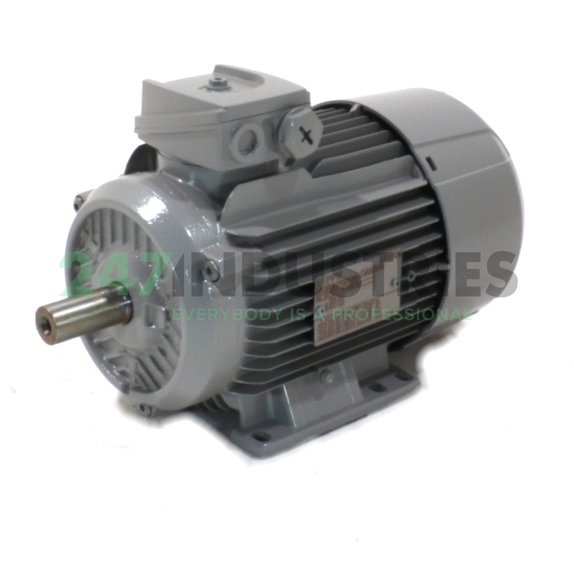 1TZ9001-0EA43-4AA4-Z Lönne