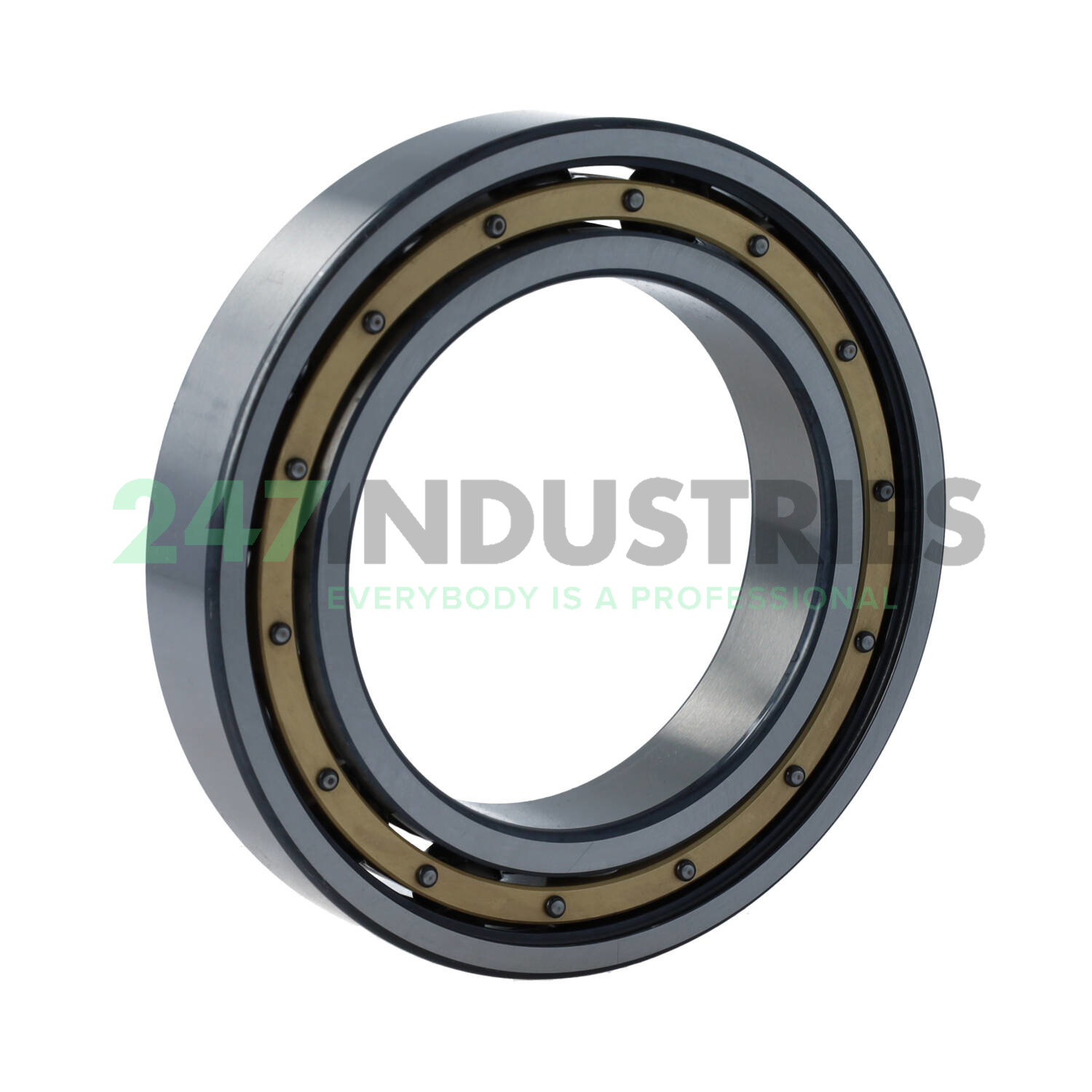 6016-M-C4 FAG Image 2