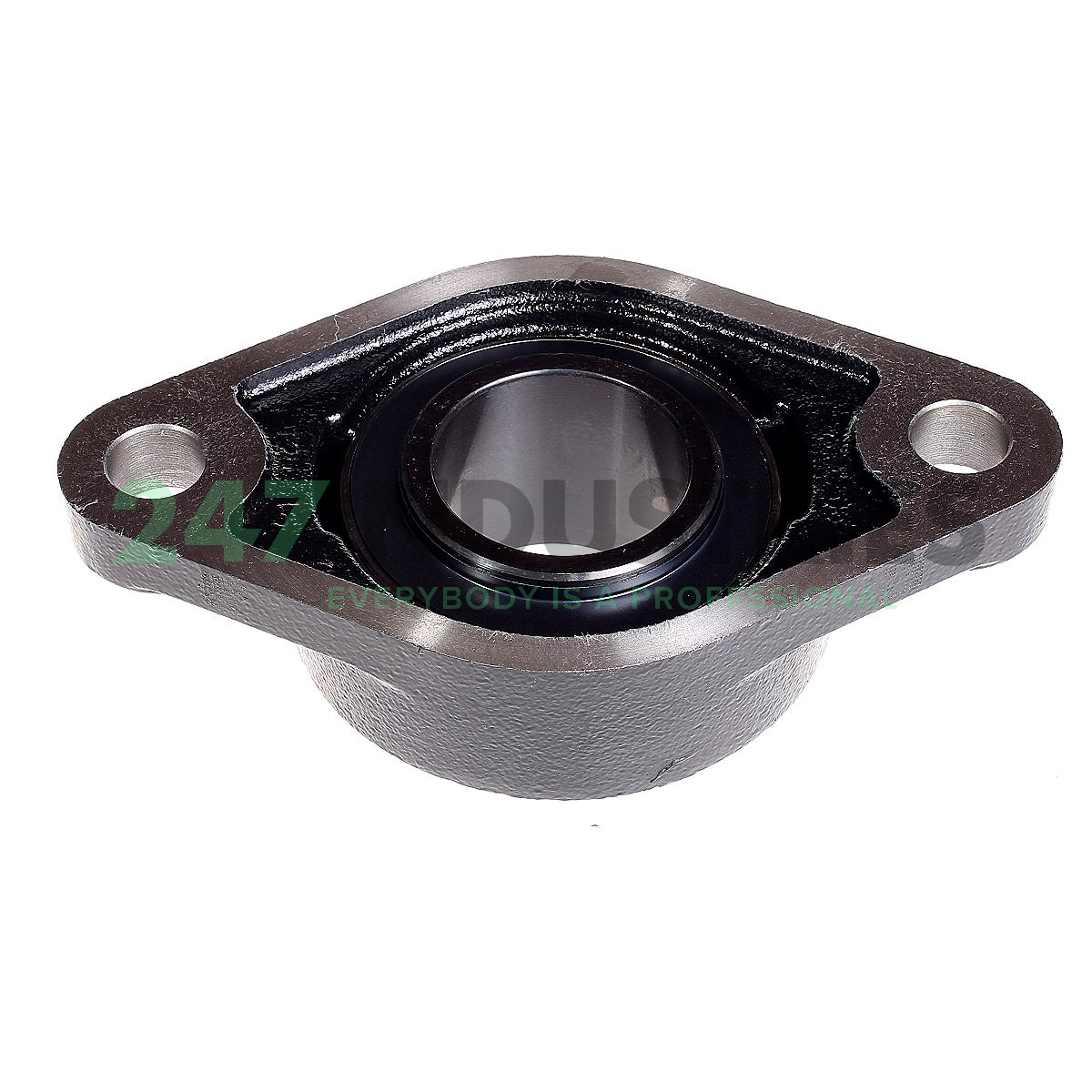 UCFL210-J7 FAG Image 3